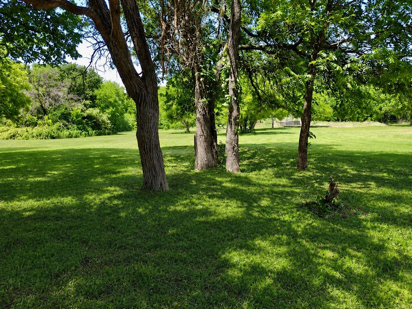 Pew Pew Ranch facility photo 10