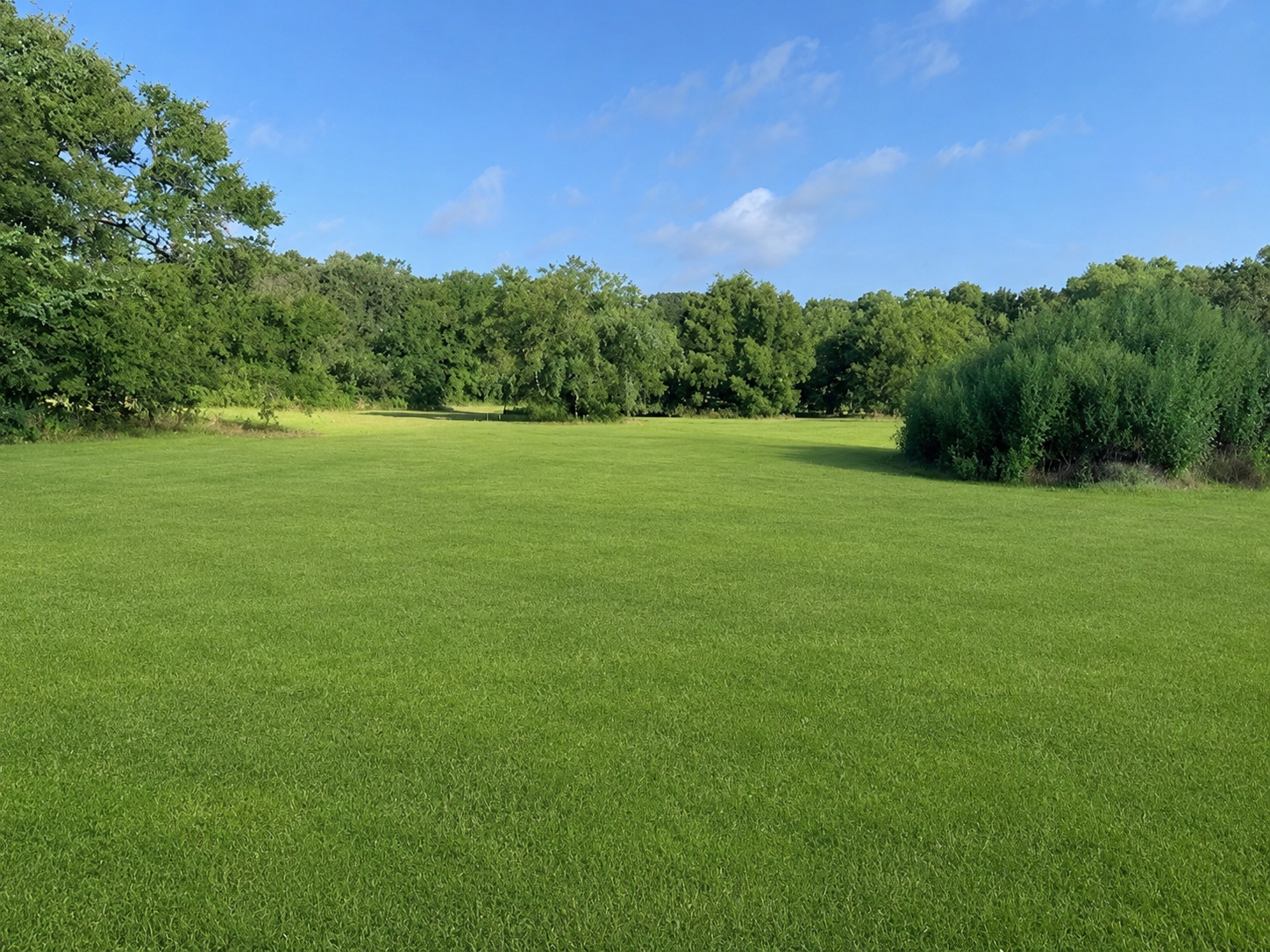 Pew Pew Ranch facility photo 12